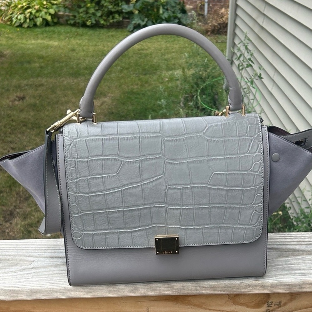 Celine elegant Chic Gray Handbag